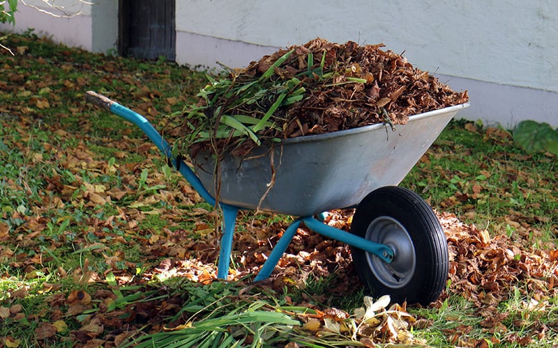 Leaf removal